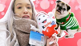 ❥ 662  COURSES DE NOËL ET CHIENS LUTINS 😁  Vlog famille Milababychou [upl. by Teteak]