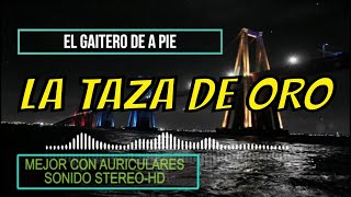 LOS TROPICALES DE EXITO  LA TAZA DE ORO  EL GAITERO DE A PIE [upl. by Ardnait]