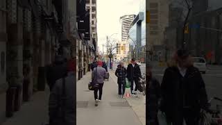 On BayStreet in Yorkville 🇨🇦 downtown midtown downtowntoronto toronto midtowntoronto shorts [upl. by Snahc]