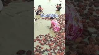 uhi jaane mahima la tor panthi geet shorts panthisong panthi pendritalab viral panthistatus [upl. by Aseretairam]