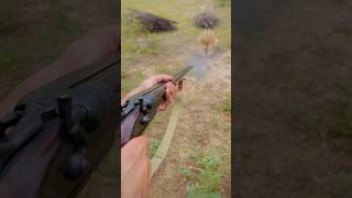 Double barrel shotgun firing fypシ foryou [upl. by Sewellyn849]