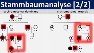 Stammbaumanalyse 22  gonosomal dominante und rezessive Erbgänge Biologie Genetik Oberstufe [upl. by Cila]