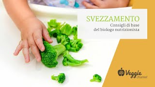 Svezzamento consigli di base del biologo nutrizionista  Dottssa Stefania Candilera [upl. by Cheyney]