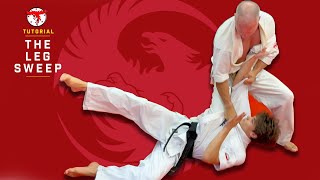 Kyokushin Karate Leg Sweep Tutorial by Shihan at The Phoenix Way 4K [upl. by Neile534]