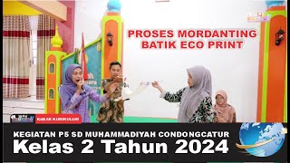 KEGIATAN P5 PROSES MORDANTING DALAM BATIK ECO PRINT KELAS 2 SD MUHAMMADIYAH CONDONGCATUR [upl. by Cathlene]