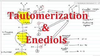 7 Reactions of Monosaccharides Part1  Tautomerization  Enediols [upl. by Herrle10]