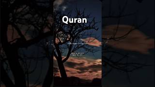 Surah alqiyamahurdu translation quran urdu [upl. by Enyehc]