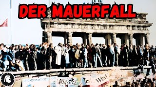 Der Mauerfall 1989 [upl. by Htebilil]