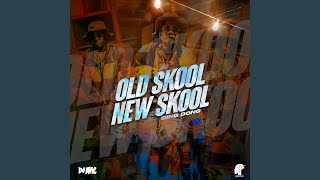 Old Skool New Skool [upl. by Atinal]