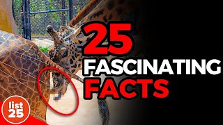 25 Fascinating Facts Even Trivia Experts Dont Know [upl. by Adnola]