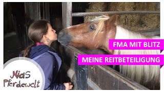 Meine erste Reitbeteiligung FMA mit Blitz [upl. by Mallon]