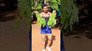 Diet plan Ideas tamil  Healthy Life style  Sathish fitness tamil [upl. by Elwina593]