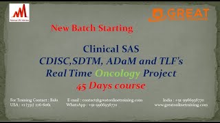 Clinical SAS Project Training [upl. by Eednil]