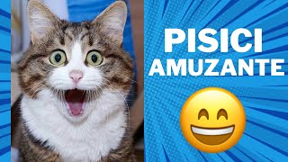 ✅Pisici nebune 🙀Filme Amuzante cu Pisici🐈Încearca sa nu rîzi😹😸 3🤣💕Cele mai amuzante pisici🙀🙀 [upl. by Vidda719]