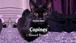 Copines Song Slowed Reverb [upl. by Thane]