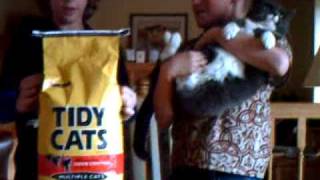 Tidy Cats Commercial [upl. by Adeirf]