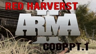 Arma 2  Cosecha roja  En la tormenta Con IpTz doce y crow Cap1 [upl. by Broek]