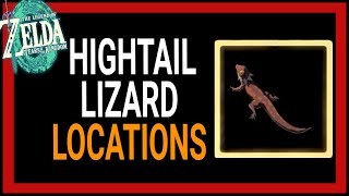 How to Find Hightail Lizard Locations  Zelda Tears of the Kingdom  Climbing Armor Upgrade [upl. by Sudnac]