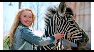 Racing Stripes Full Movie Fact amp Review in English  Bruce Greenwood  Hayden Panettiere [upl. by Arehs933]