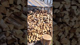 DIY Woodshed [upl. by Neliak387]