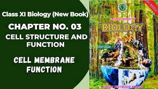 Ch 3 Cell Structure and function  Cell Membrane function  Class 11 biology new book  Sindh board [upl. by Maya]