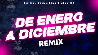 DE ENERO A DICIEMBRE REMIX [upl. by Nilson]