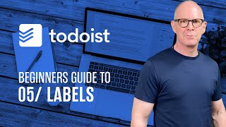 Beginners Guide To Todoist Labels [upl. by Sillert98]