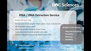 DNA Extraction Explained  DNA Isolation  DNA Extraction Steps  RNA Extraction  BOC Sciences [upl. by Idelson]