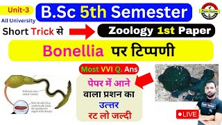 Bonellia Bonellia पर टिप्पणी bonelliabonellia viridisbonellia videobonellia fuliginosazoology [upl. by Cyb388]