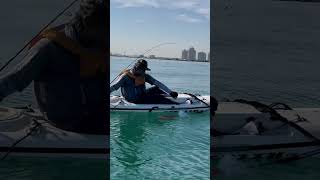 kayaking kayakfishing kayakfishinnguae stealthkayak uae fishing [upl. by Yelhs926]