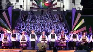 Polonez  Jubileusz 65lecia ZPiT quotLublinquot im W Kaniorowej Lublin 22062013 [upl. by Ronnoc]