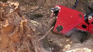 STUMP GRINDING [upl. by Storer78]