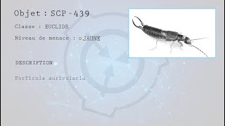 EPISODE 9  SCP439  La ruche osseuse [upl. by Ahsaekal]