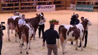 Replay  CONCOURS MONTBELIARDE Lundi 26 fevrier [upl. by Snave]