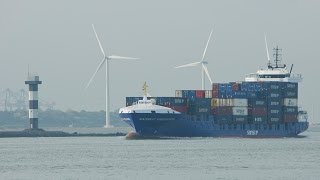 Scheepvaart in Rotterdam  Shipspotting  Hoek van Holland  Tweede Maasvlakte  Zeeschepen [upl. by Maia836]