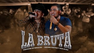 Perdidos de Sinaloa  La Bruta ft Chicho Castro En Vivo [upl. by Fitzpatrick16]