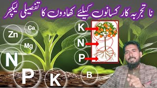 NPK fertilizer  what is NPK fertilizer  Arshad Ali [upl. by Noived]