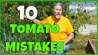 10 Tomato Growing Mistakes What to Know [upl. by Celesta]