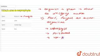 Which one is saprophyte n [upl. by Bostow953]