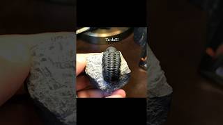 Fossil preparation  Phacops Trilobite [upl. by Yelruc520]