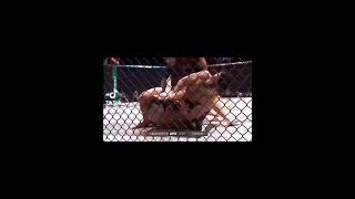 ytshorts mma Lightweight UFC Champ [upl. by Nessaj854]