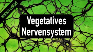 Vorlesung 5 Vegetatives Nervensystem [upl. by Soilissav]