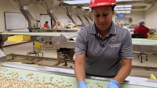 Wonderful Pistachios Corporate Video [upl. by Ahseer]