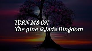 The 9ine ft Jada Kingdom  TURN ME ON  Lyrics [upl. by Natloz78]