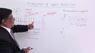 Class 12th – Polarization of LightMalus Law  Wave Optics  Tutorials Point [upl. by Yelnikcm]