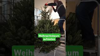 Weihnachtsbaum aufstellen – wann und wie weihnachtsbaum weihnachten shorts [upl. by Asreht]