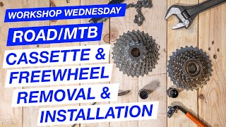 MTBRoad Freewheel and Cassette Identification Removal and installation [upl. by Atsylak437]