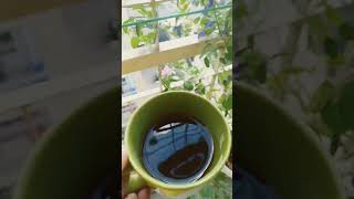 অপরাজিতার সাথে Black coffee birds birdsong nature funny birdrelaxingmusic animals flowers [upl. by Lladnor]