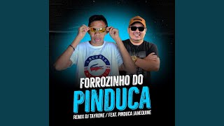 Forrozinho do Pinduca Remix [upl. by Newcomb914]