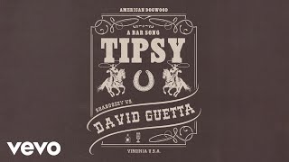 Shaboozey David Guetta  A Bar Song Tipsy Remix Official Visualizer [upl. by Oal646]